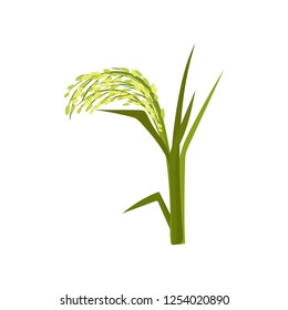 Flat vector icon of green millet. Fast-growing cereal plant. Grain culture. Organic product. Agricultural crop