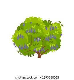 Flat vector icon of honeysuckle bush. Large shrub with ripe edible berries and green foliage. Garden plant