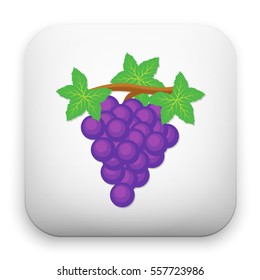 flat Vector icon - illustration of grape fruit icon