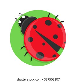 flat Vector icon - illustration of ladybug icon isolated on white