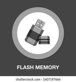 flat Vector icon - illustration of Usb flash memory icon