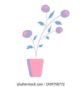 Flat vector icon of indoor plant with small green leaves and violet flowers in pink pot isolated on white background