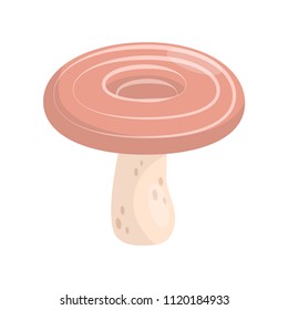 Flat vector icon of lactarius deliciosus or saffron milk cap. Edible mushroom with circles on cap. Cooking ingredient