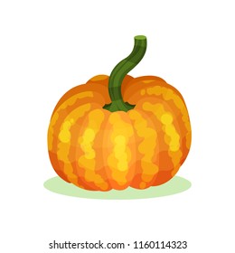 Flat vector icon of large orange-yellow pumpkin with green stem. Agricultural crop. Organic and healthy food