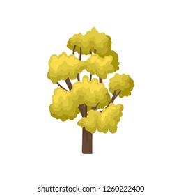 Flat vector icon of large tree with many branches and bright green leaves. Natural element of autumn forest or park