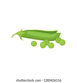 Flat vector icon of open pod and ripe green peas. Natural and healthy food. Organic vegetable. Agricultural crop