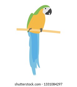 Flat vector icon of parrot.