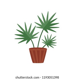 Flat vector icon of plant with wide green leaves in brown ceramic pot. Decorative houseplant. Indoor gardening