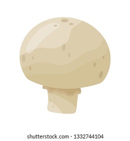 Flat vector icon of raw champignon. Small edible mushroom. Cooking ingredient. Organic food. Natural product