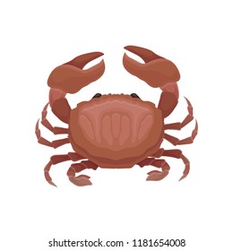Flat vector icon of red crab. Marine creature with big claws. Seafood theme. Element for advertising poster, flyer or menu