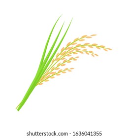 Flat vector icon of rice. Grain culture. Agricultural crop. Organic product. Botanical and farming theme. EPS 10