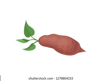Flat vector icon of ripe sweet potato with green leaves. Fresh vegetable. Organic food. Natural and healthy product