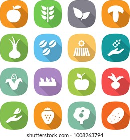 flat vector icon set - apple vector, spikelets, leafs, mushroom, onion, coffee seeds, field, harvest, corn, seedling, beet, hand leaf, strawberry, garden, potato