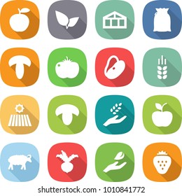 flat vector icon set - apple vector, leafs, greenhouse, flour, mushroom, tomato, beans, spike, field, harvest, sheep, beet, hand leaf, strawberry
