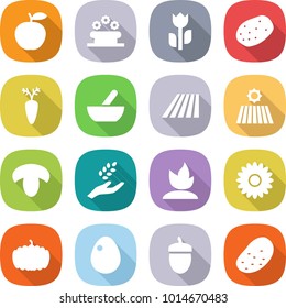 flat vector icon set - apple vector, flower bed, perishable, potato, carrot, mortar, field, mushroom, harvest, sprouting, pumpkin, egg, acorn