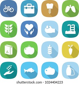flat vector icon set - bike vector, doctor bag, tooth implant, lungs, spikelets, health care, acid, pool, cereals, tomato, spike, carrot, harvest, fish, shampoo