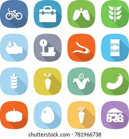 flat vector icon set - bike vector, doctor bag, lungs, spikelets, acid, warehouse scales, walnut crack, pasta, spike, carrot, corn, eggplant, pumpkin, egg, cheese