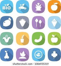 flat vector icon set - bio vector, eco car, flower, apple, lemon, berry, trees, grape, corn, seedling, eggplant, pear, sprouting, ecology, maple leaf