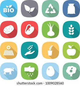 flat vector icon set - bio vector, leafs, recycle, flour, potato, beans, onion, spike, field, harvest, seedling, apple, sheep, sow, egg, garden