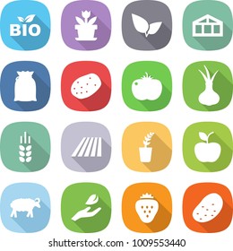 flat vector icon set - bio vector, flower, leafs, greenhouse, flour, potato, tomato, onion, spike, field, seedling, apple, sheep, hand leaf, strawberry