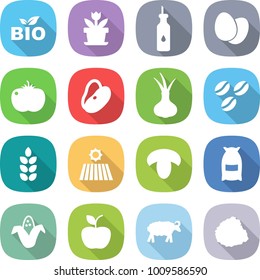 flat vector icon set - bio vector, flower, vegetable oil, eggs, tomato, beans, onion, coffee seeds, spike, field, mushroom, flour, corn, apple, sheep, pile of garbage