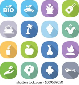 flat vector icon set - bio vector, eco car, flower, medical label, bed, palm, grape, corn, seedling, apple, pear, sprouting, hand leaf, garden, maple, blower