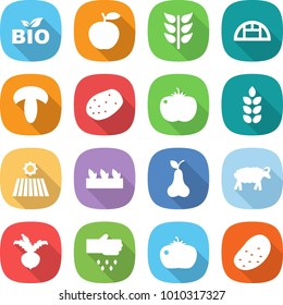 flat vector icon set - bio vector, apple, spikelets, greenhouse, mushroom, potato, tomato, spike, field, seedling, pear, sheep, beet, sow