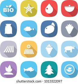 flat vector icon set - bio vector, starfish, drop, cauldron, flour, fish, lemon, berry, field, grape, sheep, sprouting, spruce, ecology