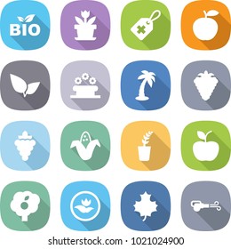 flat vector icon set - bio vector, flower, medical label, apple, leafs, bed, palm, berry, grape, corn, seedling, garden, ecology, maple leaf, blower