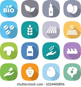 flat vector icon set - bio vector, leafs, vegetable oil, eggs, coffee seeds, spike, field, mushroom, flour, harvest, seedling, hand leaf, strawberry, egg, garden