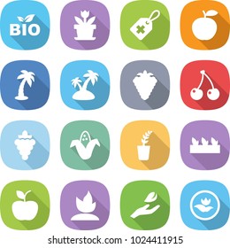 flat vector icon set - bio vector, flower, medical label, apple, palm, island, berry, cherry, grape, corn, seedling, sprouting, hand leaf, ecology