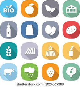 flat vector icon set - bio vector, apple, leafs, greenhouse, vegetable oil, flour, eggs, potato, spike, field, seedling, sheep, sow, strawberry, garden