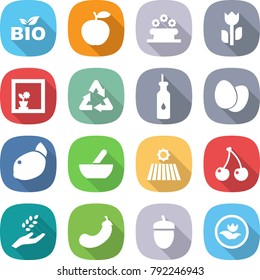 flat vector icon set - bio vector, apple, flower bed, perishable, in window, recycle, vegetable oil, eggs, lemon, mortar, field, cherry, harvest, eggplant, acorn, ecology