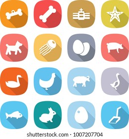 flat vector icon set - bone vector, hospital, starfish, dog, jellyfish, eggs, pig, goose, chicken, sheep, fish, rabbit, egg, scoop