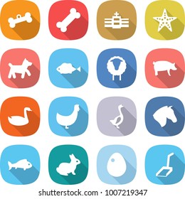 flat vector icon set - bone vector, hospital, starfish, dog, fish, sheep, pig, goose, chicken, horse, rabbit, egg, scoop