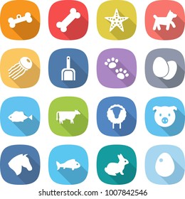 flat vector icon set - bone vector, starfish, dog, jellyfish, scoop, pets, eggs, fish, cow, sheep, pig, horse, rabbit, egg