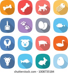flat vector icon set - bone vector, dog, jellyfish, scoop, pets, eggs, fish, sheep, pig, goose, cow, rabbit, egg