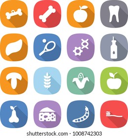 flat vector icon set - bone vector, apple, tooth, liver, tennis, dna edit, vegetable oil, mushroom, spike, corn, pear, cheese, peas, brush