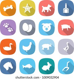 flat vector icon set - bone vector, starfish, dog, scoop, pets, eggs, pig, goose, chicken, sheep, horse, fish, rabbit