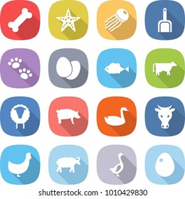 flat vector icon set - bone vector, starfish, jellyfish, scoop, pets, eggs, fish, cow, sheep, pig, goose, chicken, egg
