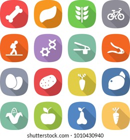 flat vector icon set - bone vector, liver, spikelets, bike, tourist, dna edit, garlic clasp, walnut crack, eggs, potato, carrot, lemon, corn, apple, pear