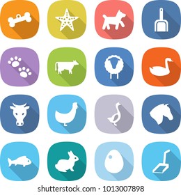 flat vector icon set - bone vector, starfish, dog, scoop, pets, cow, sheep, goose, chicken, horse, fish, rabbit, egg