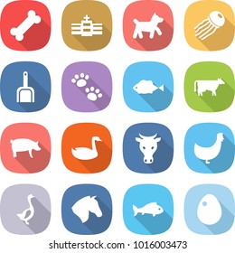 flat vector icon set - bone vector, hospital, dog, jellyfish, scoop, pets, fish, cow, pig, goose, chicken, horse, egg