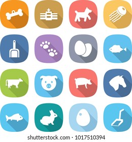 flat vector icon set - bone vector, hospital, dog, jellyfish, scoop, pets, eggs, fish, cow, pig, horse, rabbit, egg