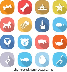 flat vector icon set - bone vector, hospital, starfish, dog, jellyfish, scoop, fish, sheep, pig, goose, egg