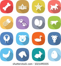 flat vector icon set - bone vector, hospital, starfish, dog, jellyfish, pets, eggs, cow, sheep, pig, goose, chicken, horse, rabbit, egg