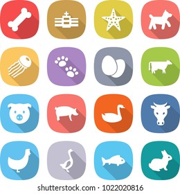 flat vector icon set - bone vector, hospital, starfish, dog, jellyfish, pets, eggs, cow, pig, goose, chicken, fish, rabbit