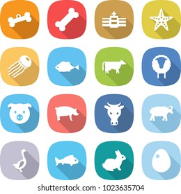 flat vector icon set - bone vector, hospital, starfish, jellyfish, fish, cow, sheep, pig, goose, rabbit, egg