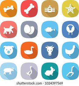 flat vector icon set - bone vector, hospital, starfish, dog, eggs, fish, sheep, pig, goose, cow, chicken, rabbit, scoop