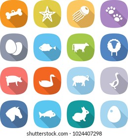 flat vector icon set - bone vector, starfish, jellyfish, pets, eggs, fish, cow, sheep, pig, goose, horse, rabbit, egg